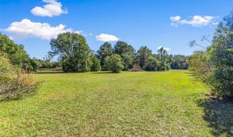 19010 COUNTY ROAD 42, Altoona, FL 32702