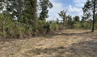 Hc 73 Box 4925 Track 20, Ava, MO 65608