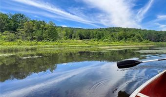 0 Woodland Hills Rd, Andes, NY 13731