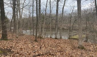 VL Bridge Road, Allegan, MI 49010