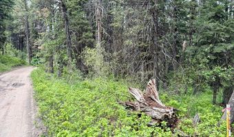 518 Susan Rd Lot 39, Cascade, ID 83611