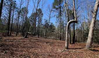 17133 Thompson Farm Rd, Alexander, AR 72002