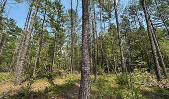 1 Champion Hill Rd, Bolton, MS 39041