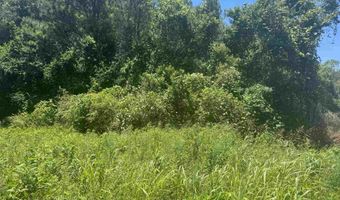 HIGHWAY 431 lot 0, Alexandria, AL 36250