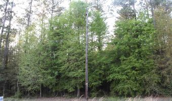 Lot 3 Reds Landing, Andrews, SC 29510