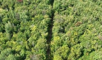 Jerusalem Road, Altona, NY 12910