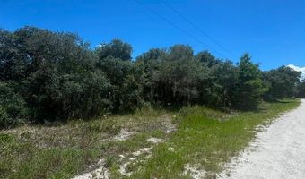2530 N Todd Rd, Avon Park, FL 33825
