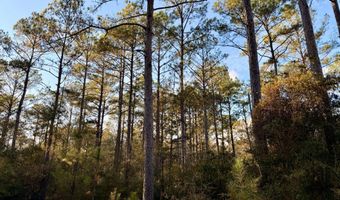 0 King Ln, Bay Minette, AL 36507