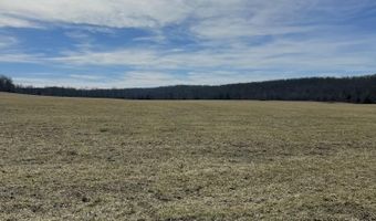 Tract 1 County Road 14-534, Ava, MO 65608