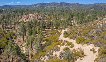 60833 Table Mountain Rd, Mountain Center, CA 92561