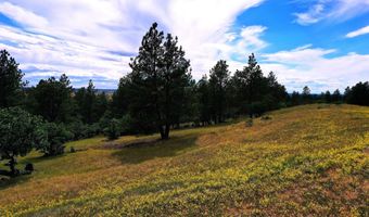3159 Mona Rd, Aladdin, WY 82710