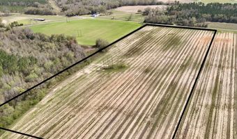 15 Acres Antioch Church Rd, Ashford, AL 36312