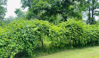 413 N. Pontotoc, Bruce, MS 38915