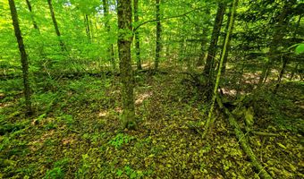 1905 Camp Munn Rd, Bradford, VT 05033