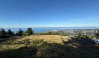 Jodel CT 3, Brookings, OR 97415