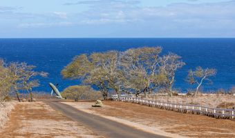 56-2891 HALEAKALA VIEW Pl, Hawi, HI 96719