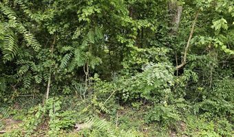 Green Spring Road, Abingdon, VA 24210