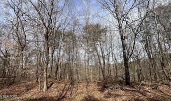 Mountain View Lane Lot # 1101, Baneberry, TN 37890