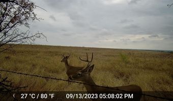 2335 CR 619, Pottsville, TX 76565
