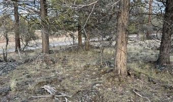 Prarie Dog Drive, Bonanza, OR 97623