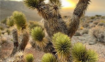 4 Camp Bonanza Rd, Cold Creek, NV 89124