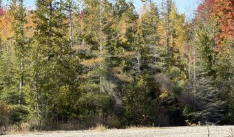 9415 Wreck Rd, Alpena, MI 49707