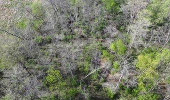 County Road 450 N, Albion, IL 62806