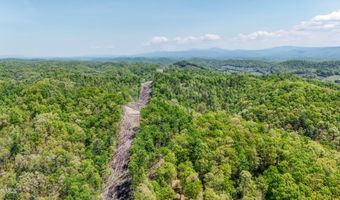 Tbd Green Springs Road, Abingdon, VA 24211