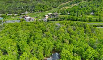 155 CONNIE, Basye, VA 22810