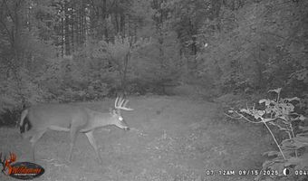 8752 HWY A, Almond, WI 54909