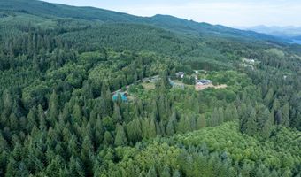 N Dubois Rd, Ariel, WA 98603