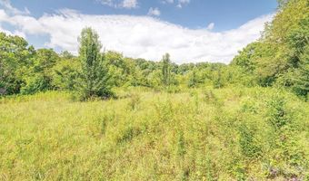 99999 Odonald Rd, Asheville, NC 28806
