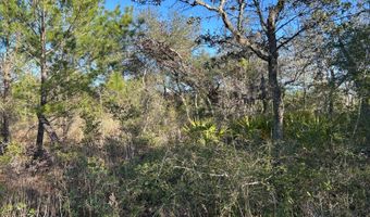 NW Lake McKenzie Rd, Altha, FL 32421