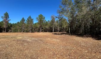 20 Ac Coot Adams Rd, Ashford, AL 36312