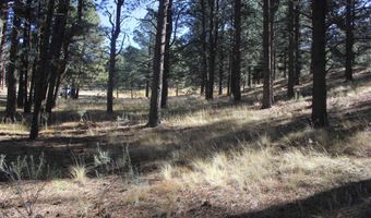 Valley Road lot 41, Angel Fire, NM 87710