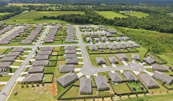 26484 Riparian Dr, Athens, AL 35613