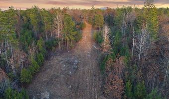 1660 FEDDISBURG Rd, Alpine, AL 35014