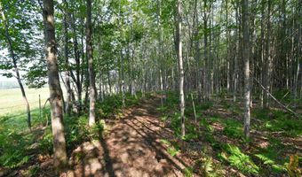 9537 LAKEVIEW Rd, Alanson, MI 49706