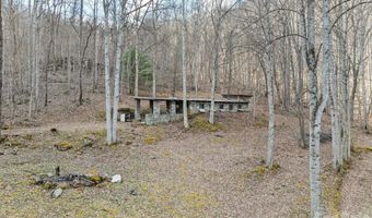 140 Wild Mountain Ln, Barnardsville, NC 28709
