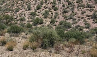 Carp Road, Caliente, NV 89008