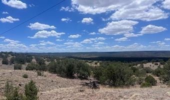 41 Indian Drive CR 8062, Concho, AZ 85924