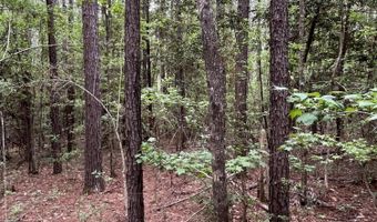 Hwy 49, Brooklyn, MS 39425