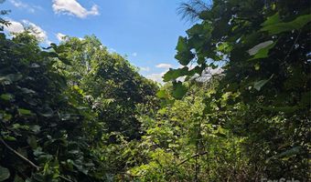 97 Destination Dr, Asheville, NC 28806