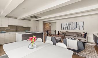 1039 E Cooper Ave 20, Aspen, CO 81611