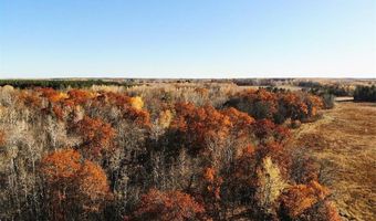 1353 State 371 NW, Backus, MN 56435