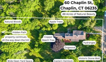 60 Chaplin St, Chaplin, CT 06235