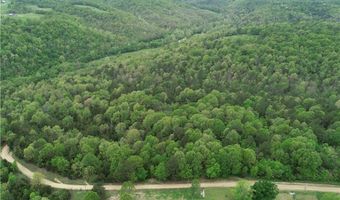 Twin Fork DR, Bergman, AR 72615