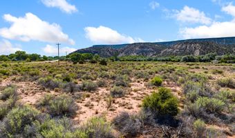 TBD 5 AC US HWY 84, Abiquiu, NM 87510