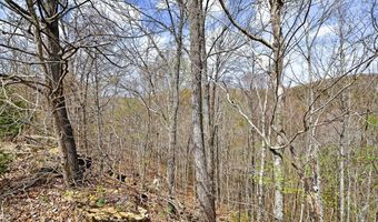 1089 Cornerstone Pkwy Lot 1A & D, Allons, TN 38541