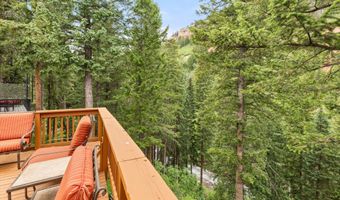 1501 Maroon Creek Rd #2, Aspen, CO 81611